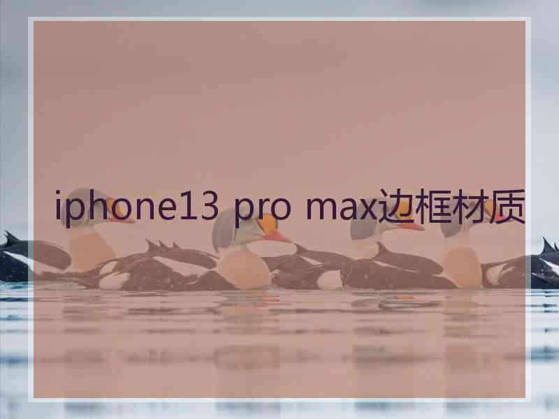 iphone13 pro max边框材质