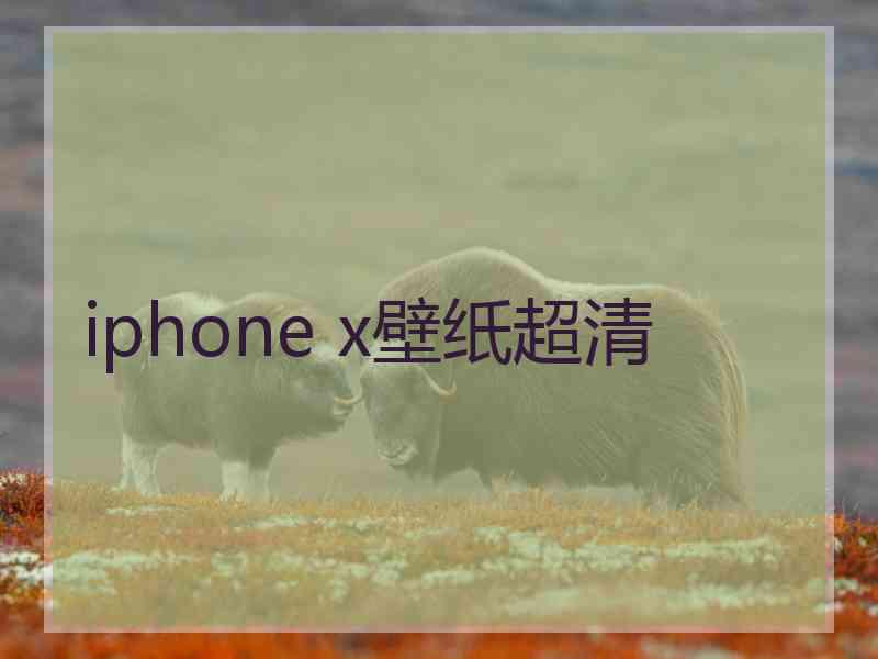 iphone x壁纸超清