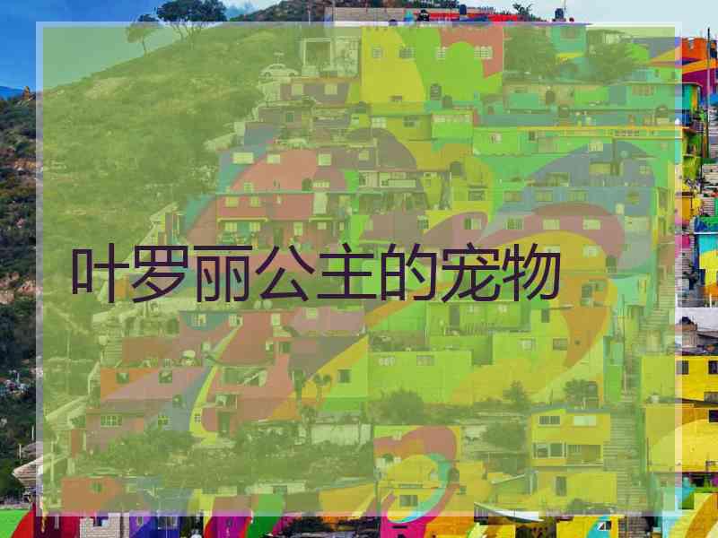 叶罗丽公主的宠物