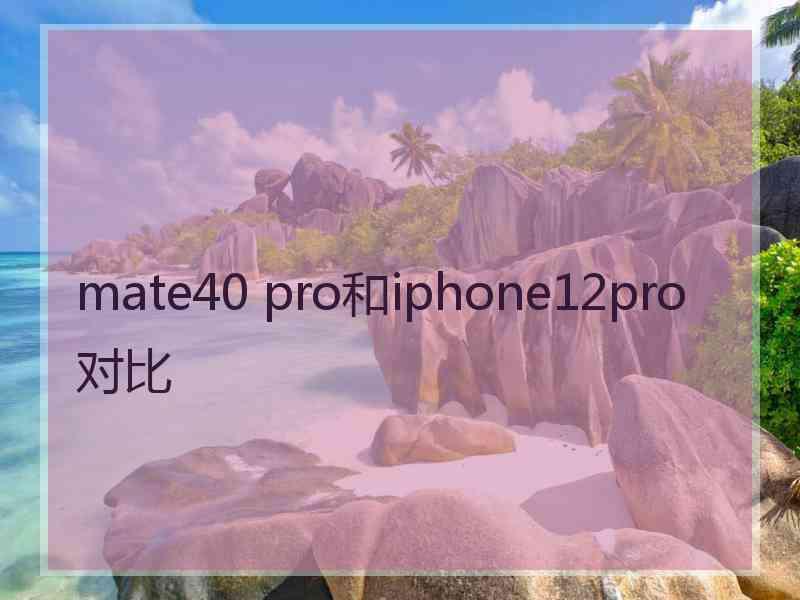 mate40 pro和iphone12pro对比