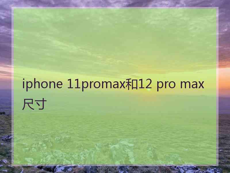 iphone 11promax和12 pro max尺寸