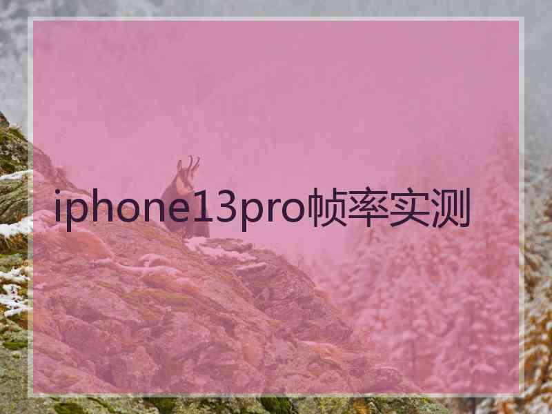 iphone13pro帧率实测