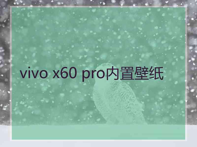 vivo x60 pro内置壁纸