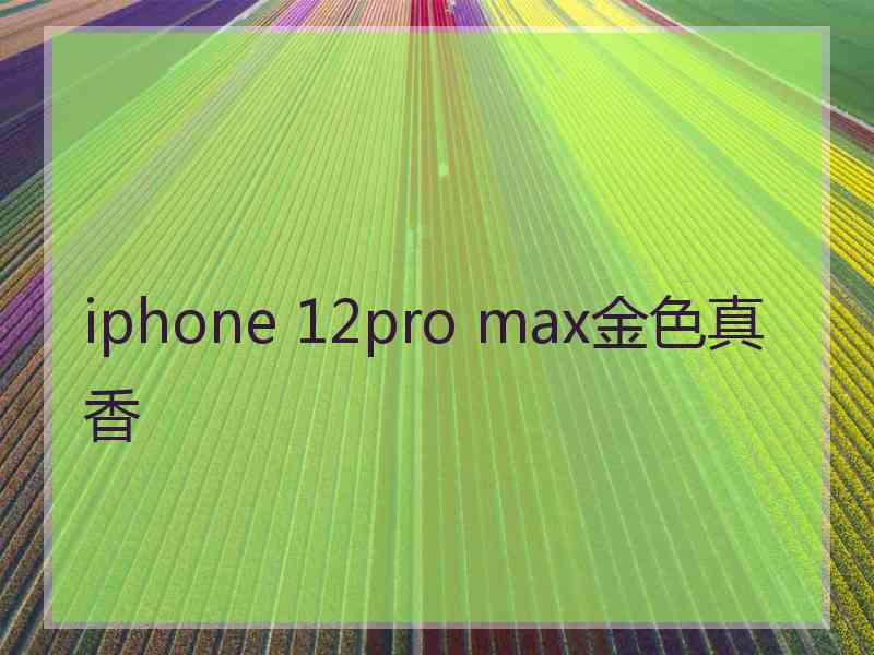 iphone 12pro max金色真香