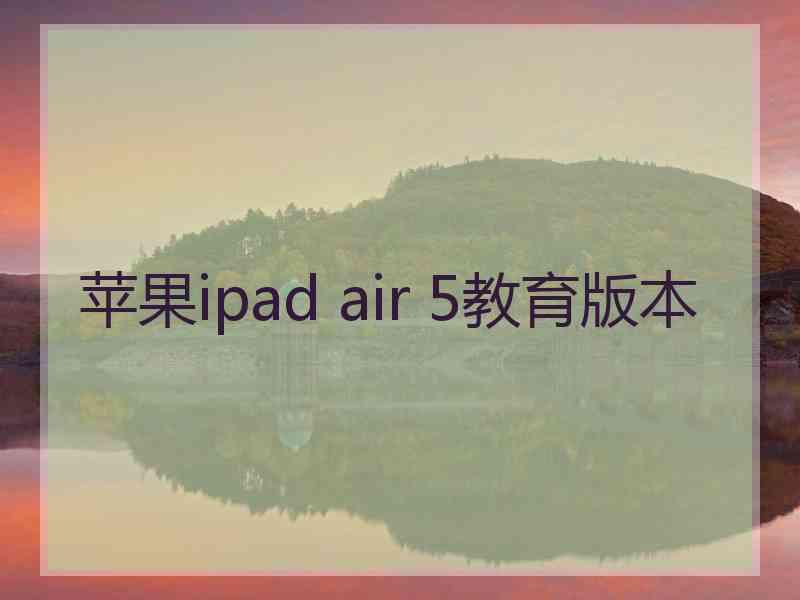 苹果ipad air 5教育版本