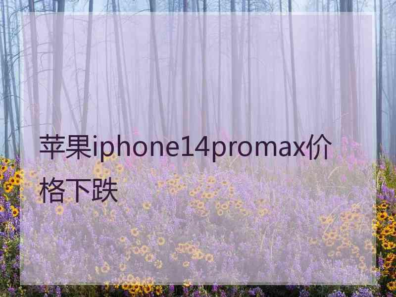 苹果iphone14promax价格下跌