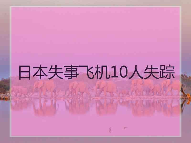 日本失事飞机10人失踪