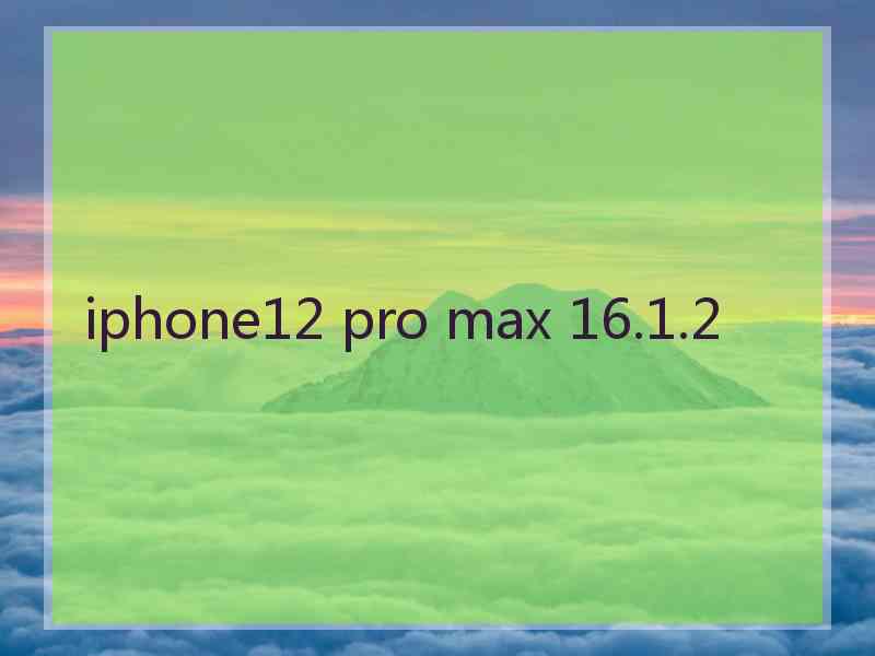 iphone12 pro max 16.1.2