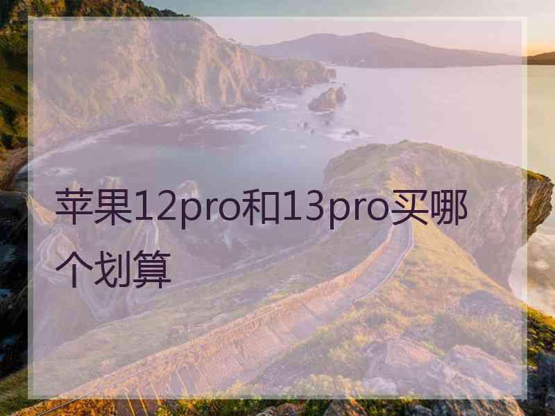 苹果12pro和13pro买哪个划算