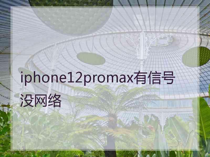 iphone12promax有信号没网络