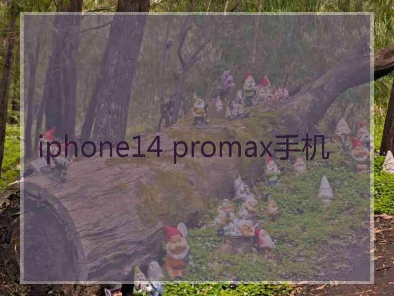 iphone14 promax手机