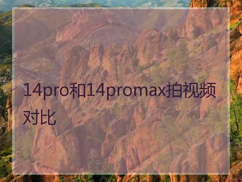 14pro和14promax拍视频对比