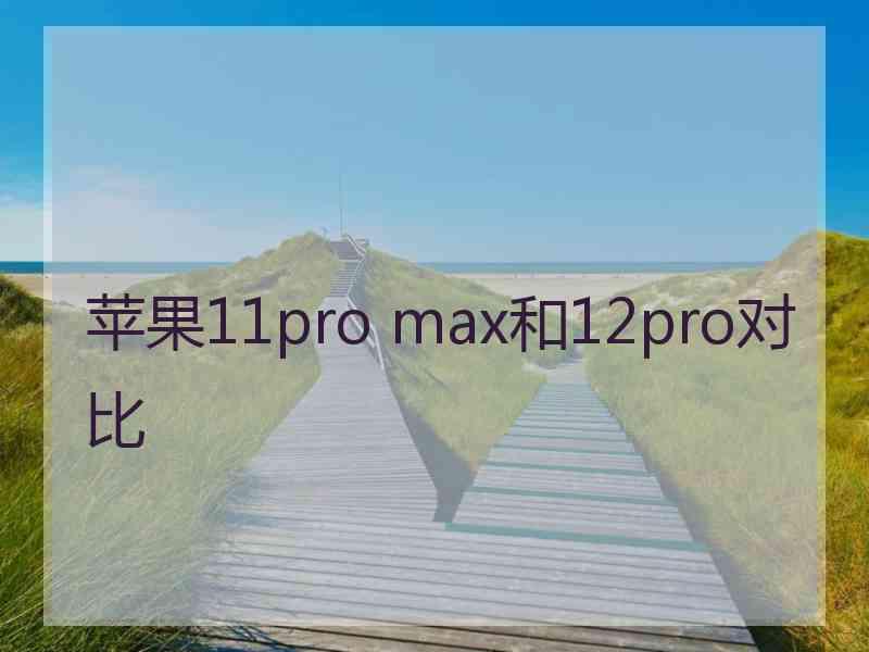 苹果11pro max和12pro对比