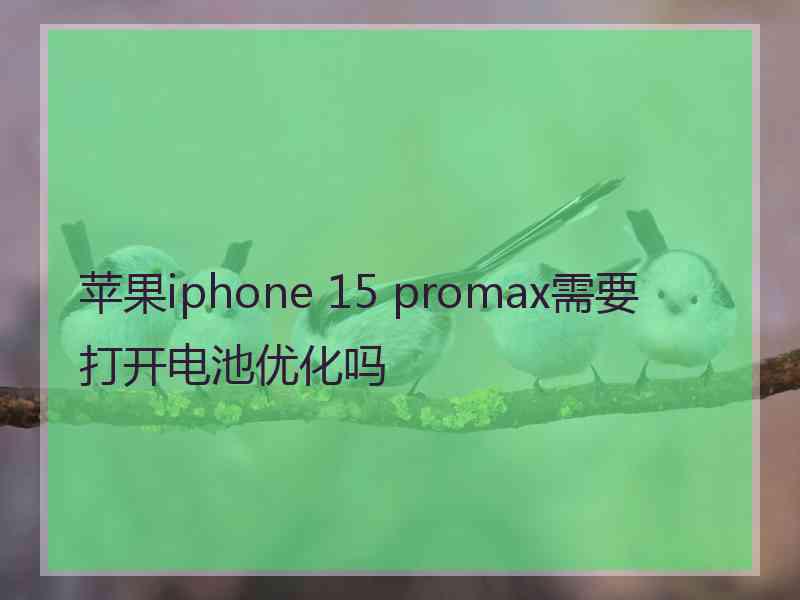 苹果iphone 15 promax需要打开电池优化吗