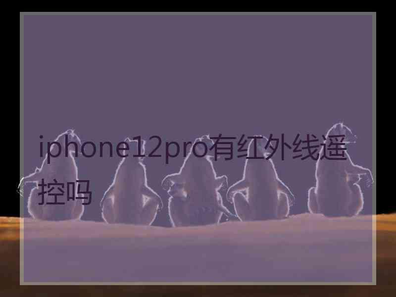 iphone12pro有红外线遥控吗