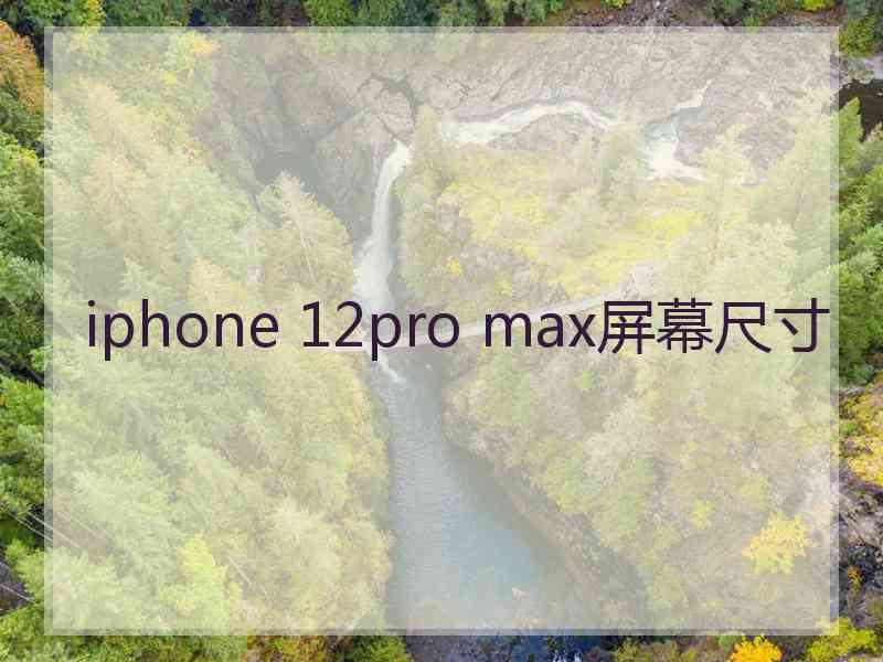 iphone 12pro max屏幕尺寸