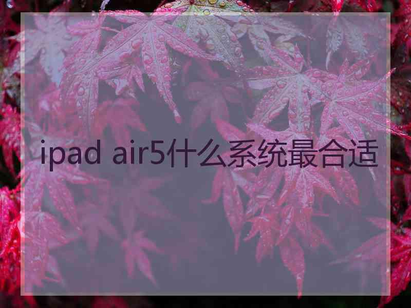 ipad air5什么系统最合适