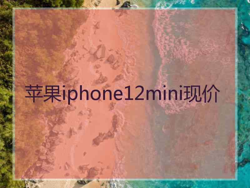 苹果iphone12mini现价