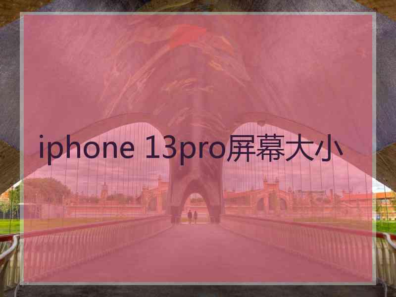 iphone 13pro屏幕大小