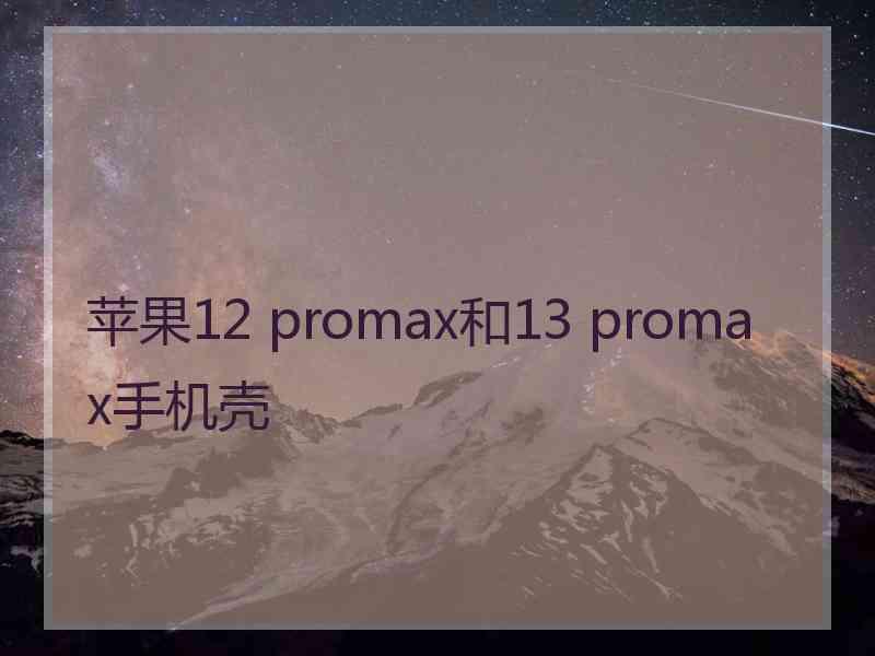 苹果12 promax和13 promax手机壳