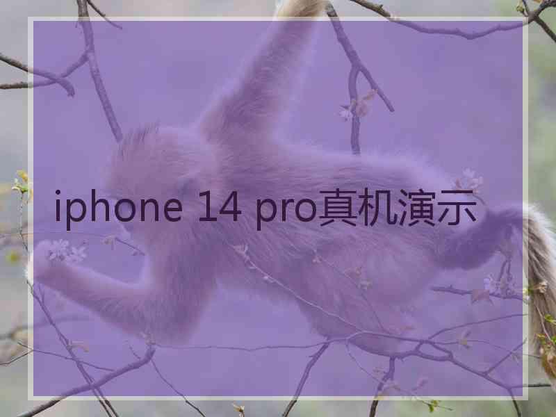 iphone 14 pro真机演示