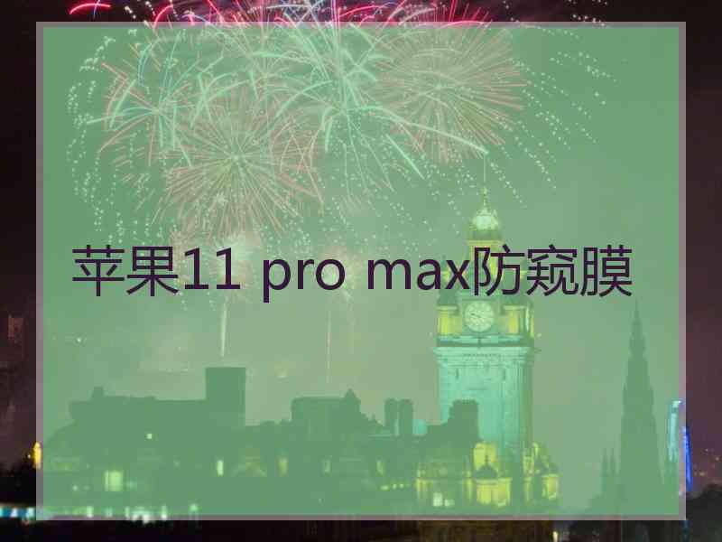 苹果11 pro max防窥膜