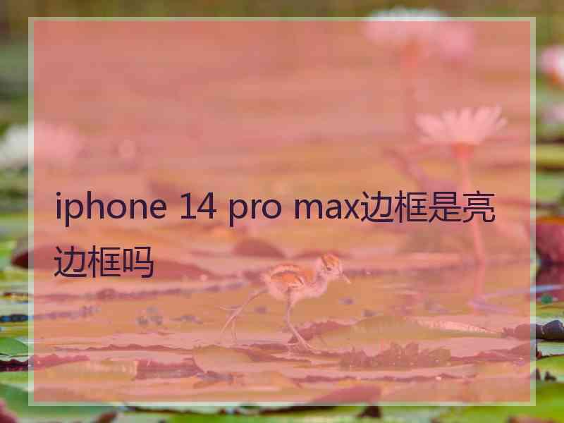 iphone 14 pro max边框是亮边框吗