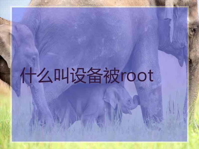 什么叫设备被root