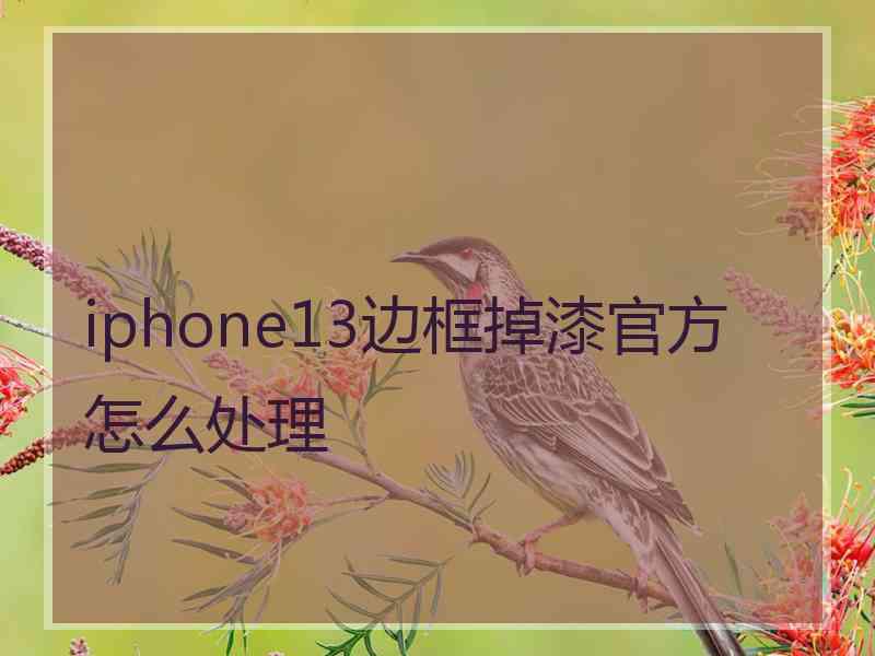 iphone13边框掉漆官方怎么处理