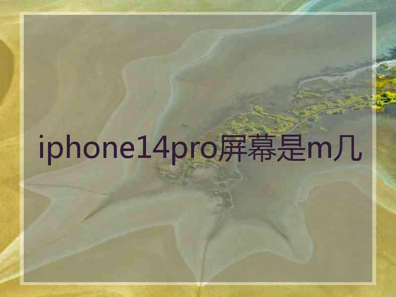 iphone14pro屏幕是m几