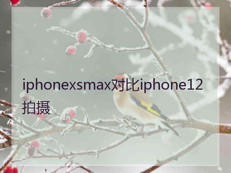 iphonexsmax对比iphone12拍摄