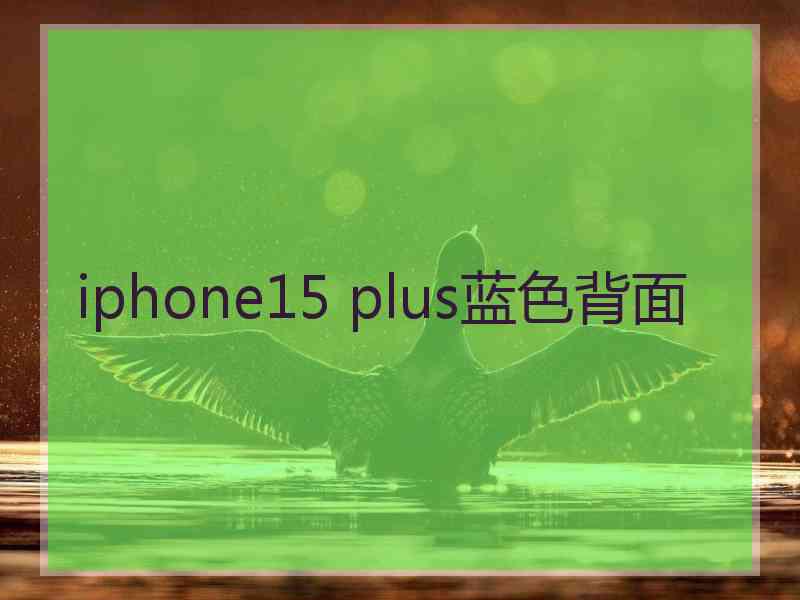 iphone15 plus蓝色背面