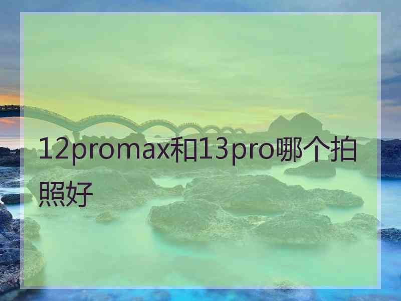 12promax和13pro哪个拍照好