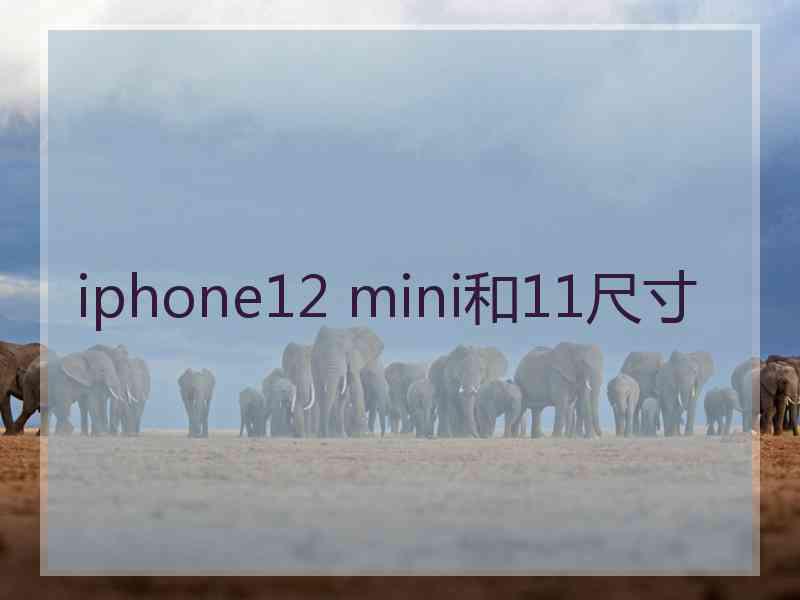 iphone12 mini和11尺寸