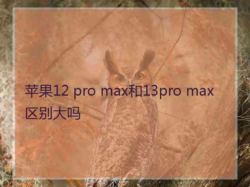 苹果12 pro max和13pro max区别大吗