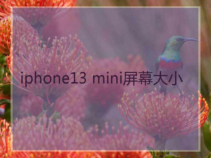 iphone13 mini屏幕大小