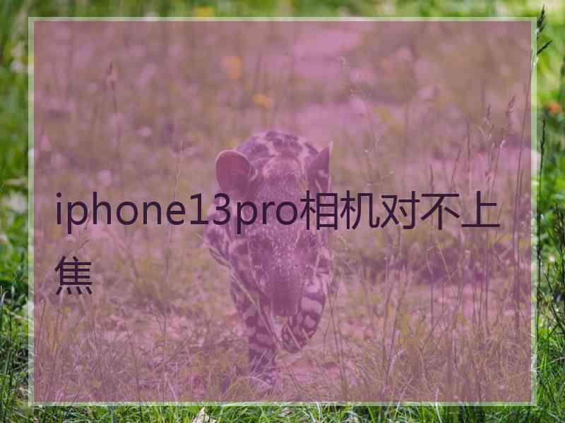 iphone13pro相机对不上焦