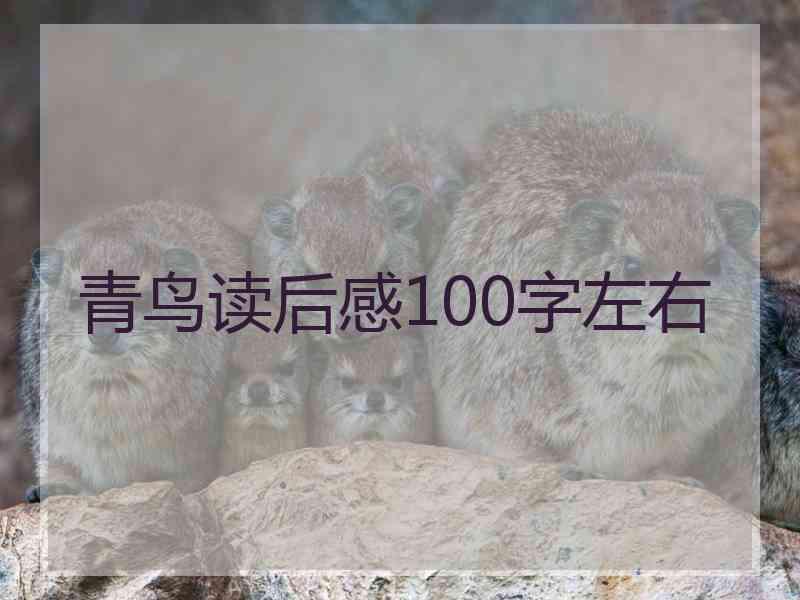 青鸟读后感100字左右