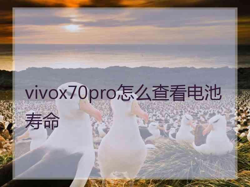 vivox70pro怎么查看电池寿命