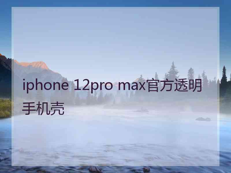 iphone 12pro max官方透明手机壳