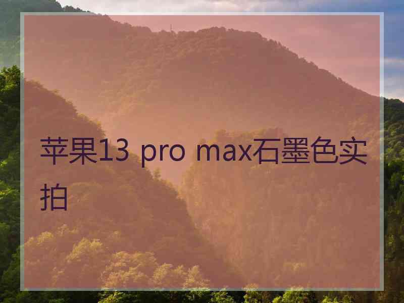 苹果13 pro max石墨色实拍