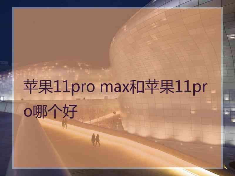 苹果11pro max和苹果11pro哪个好