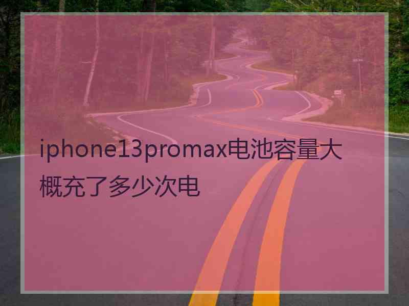 iphone13promax电池容量大概充了多少次电