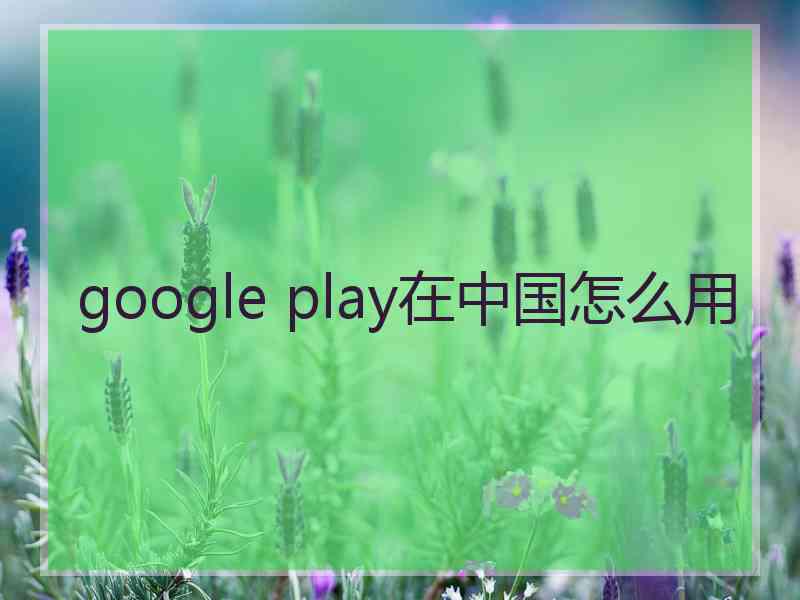 google play在中国怎么用