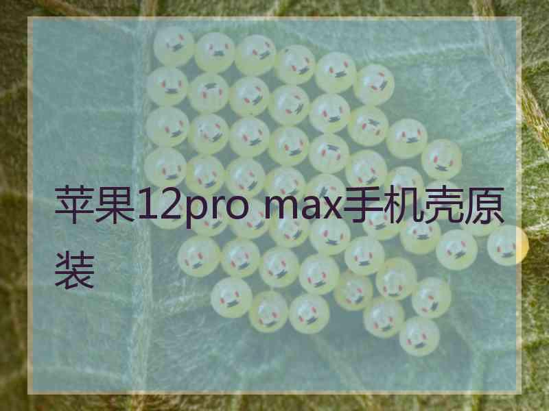 苹果12pro max手机壳原装