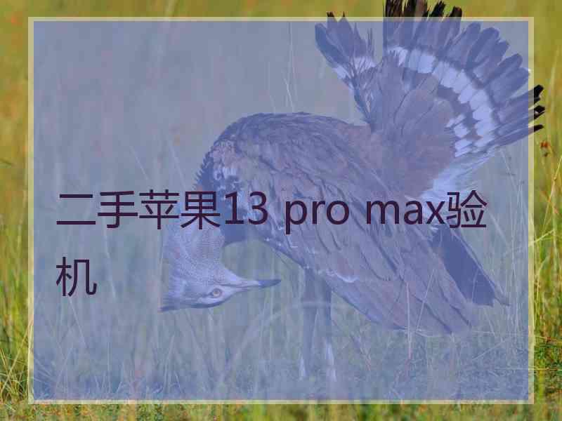 二手苹果13 pro max验机