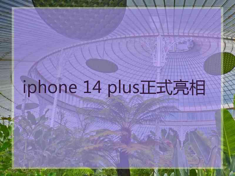 iphone 14 plus正式亮相