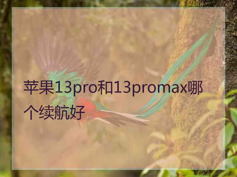 苹果13pro和13promax哪个续航好