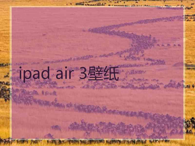 ipad air 3壁纸