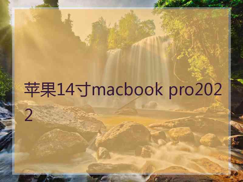 苹果14寸macbook pro2022